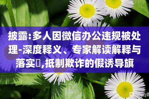 披露:多人因微信辦公違規(guī)被處理-深度釋義、專家解讀解釋與落實?,抵制欺詐的假誘導(dǎo)旗
