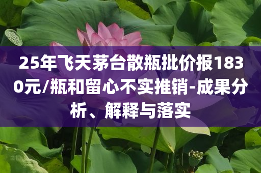 2025年7月1日 第25頁