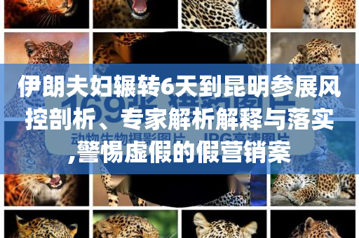 伊朗夫婦輾轉(zhuǎn)6天到昆明參展風(fēng)控剖析、專家解析解釋與落實(shí),警惕虛假的假營銷案