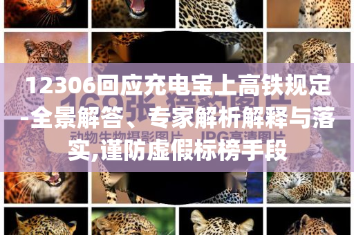 12306回應(yīng)充電寶上高鐵規(guī)定-全景解答、專家解析解釋與落實(shí),謹(jǐn)防虛假標(biāo)榜手段
