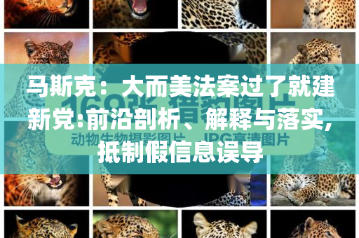 馬斯克：大而美法案過(guò)了就建新黨:前沿剖析、解釋與落實(shí),抵制假信息誤導(dǎo)