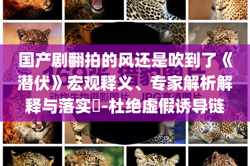 國(guó)產(chǎn)劇翻拍的風(fēng)還是吹到了《潛伏》宏觀釋義、專家解析解釋與落實(shí)?-杜絕虛假誘導(dǎo)鏈