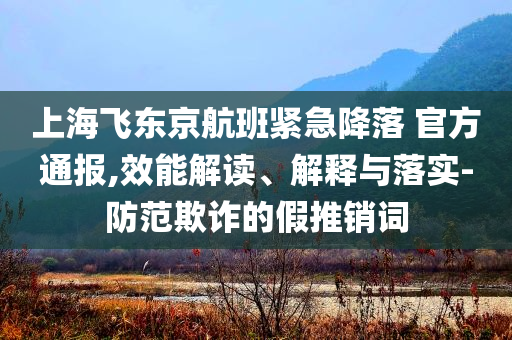 上海飛東京航班緊急降落 官方通報(bào),效能解讀、解釋與落實(shí)-防范欺詐的假推銷詞