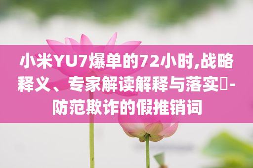 小米YU7爆單的72小時(shí),戰(zhàn)略釋義、專家解讀解釋與落實(shí)?-防范欺詐的假推銷詞