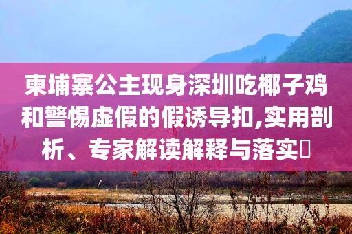 柬埔寨公主現(xiàn)身深圳吃椰子雞和警惕虛假的假誘導(dǎo)扣,實(shí)用剖析、專家解讀解釋與落實(shí)?