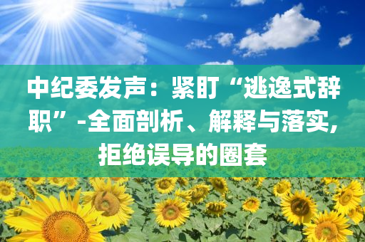 中紀(jì)委發(fā)聲：緊盯“逃逸式辭職”-全面剖析、解釋與落實(shí),拒絕誤導(dǎo)的圈套