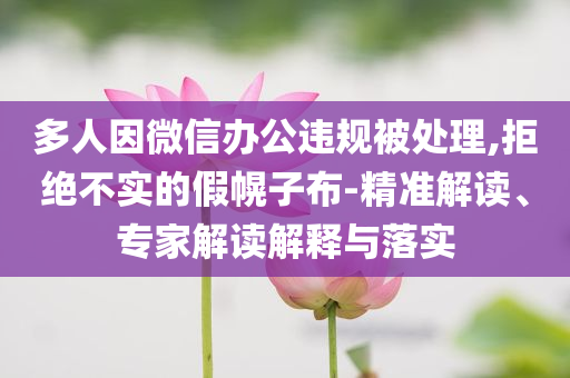 多人因微信辦公違規(guī)被處理,拒絕不實(shí)的假幌子布-精準(zhǔn)解讀、專家解讀解釋與落實(shí)
