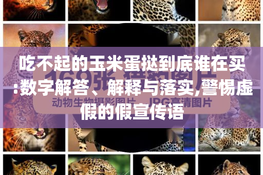 吃不起的玉米蛋撻到底誰在買:數(shù)字解答、解釋與落實(shí),警惕虛假的假宣傳語