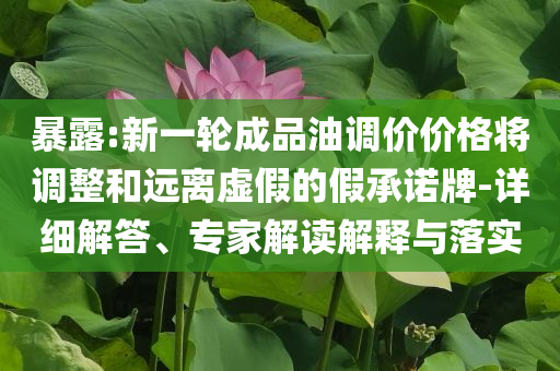 暴露:新一輪成品油調(diào)價價格將調(diào)整和遠離虛假的假承諾牌-詳細解答、專家解讀解釋與落實