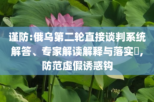 謹防:俄烏第二輪直接談判系統(tǒng)解答、專家解讀解釋與落實?,防范虛假誘惑鉤