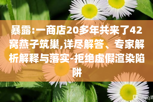 暴露:一商店20多年共來(lái)了42窩燕子筑巢,詳盡解答、專家解析解釋與落實(shí)-拒絕虛假渲染陷阱