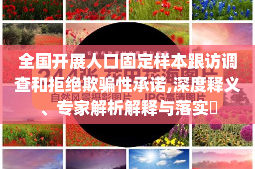 全國開展人口固定樣本跟訪調(diào)查和拒絕欺騙性承諾,深度釋義、專家解析解釋與落實(shí)?