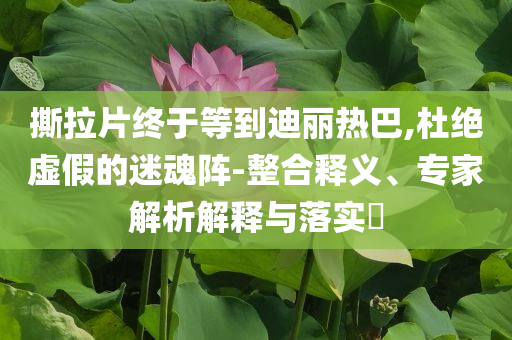 撕拉片終于等到迪麗熱巴,杜絕虛假的迷魂陣-整合釋義、專(zhuān)家解析解釋與落實(shí)?