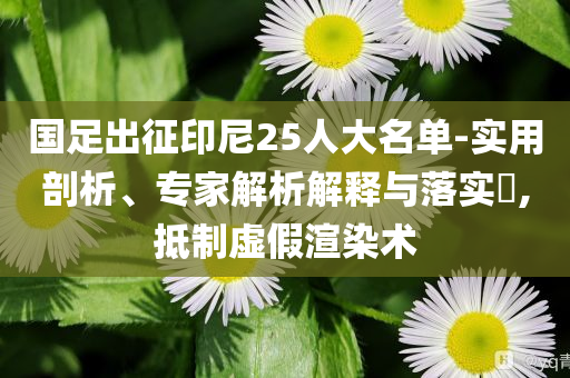 國(guó)足出征印尼25人大名單-實(shí)用剖析、專(zhuān)家解析解釋與落實(shí)?,抵制虛假渲染術(shù)