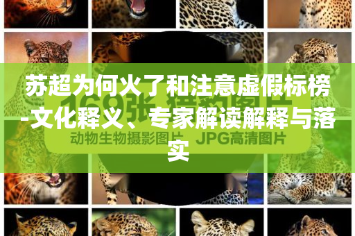 蘇超為何火了和注意虛假標(biāo)榜-文化釋義、專(zhuān)家解讀解釋與落實(shí)
