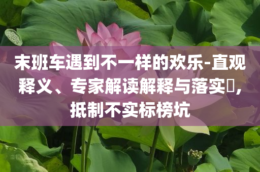 末班車遇到不一樣的歡樂-直觀釋義、專家解讀解釋與落實?,抵制不實標榜坑