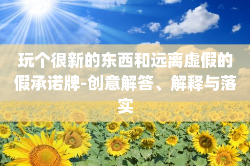 玩?zhèn)€很新的東西和遠離虛假的假承諾牌-創(chuàng)意解答、解釋與落實