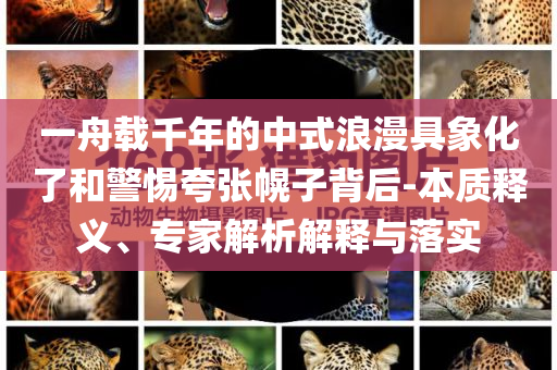 一舟載千年的中式浪漫具象化了和警惕夸張幌子背后-本質(zhì)釋義、專家解析解釋與落實