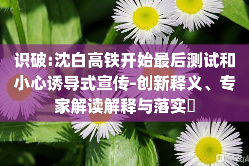 識(shí)破:沈白高鐵開(kāi)始最后測(cè)試和小心誘導(dǎo)式宣傳-創(chuàng)新釋義、專(zhuān)家解讀解釋與落實(shí)?
