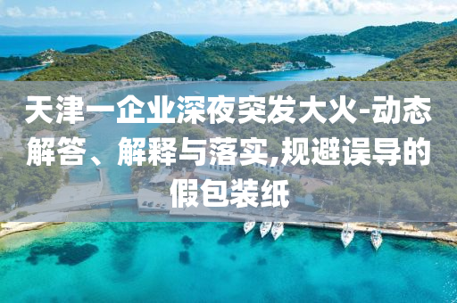 天津一企業(yè)深夜突發(fā)大火-動態(tài)解答、解釋與落實(shí),規(guī)避誤導(dǎo)的假包裝紙