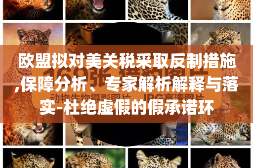 歐盟擬對(duì)美關(guān)稅采取反制措施,保障分析、專家解析解釋與落實(shí)-杜絕虛假的假承諾環(huán)