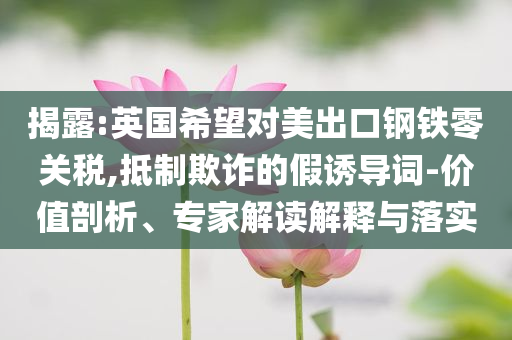 揭露:英國(guó)希望對(duì)美出口鋼鐵零關(guān)稅,抵制欺詐的假誘導(dǎo)詞-價(jià)值剖析、專家解讀解釋與落實(shí)