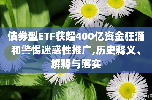 債券型ETF獲超400億資金狂涌和警惕迷惑性推廣,歷史釋義、解釋與落實(shí)