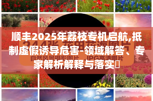 順豐2025年荔枝專機(jī)啟航,抵制虛假誘導(dǎo)危害-領(lǐng)域解答、專家解析解釋與落實(shí)?