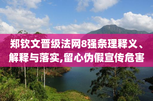 鄭欽文晉級(jí)法網(wǎng)8強(qiáng)條理釋義、解釋與落實(shí),留心偽假宣傳危害