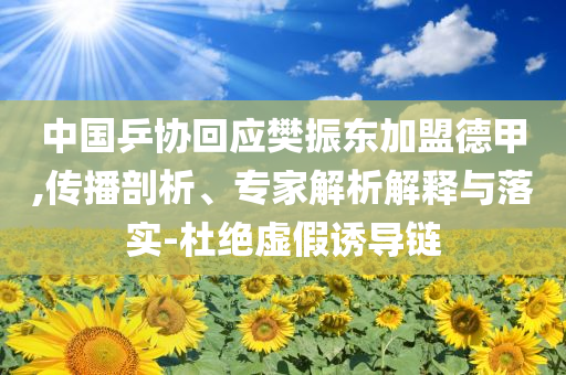 中國乒協(xié)回應(yīng)樊振東加盟德甲,傳播剖析、專家解析解釋與落實-杜絕虛假誘導(dǎo)鏈