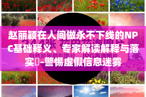 趙麗穎在人間做永不下線的NPC基礎(chǔ)釋義、專(zhuān)家解讀解釋與落實(shí)?-警惕虛假信息迷霧