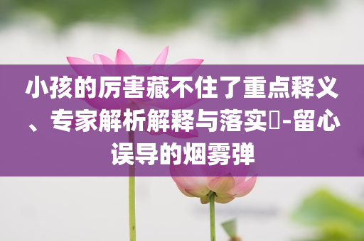 小孩的厲害藏不住了重點(diǎn)釋義、專(zhuān)家解析解釋與落實(shí)?-留心誤導(dǎo)的煙霧彈