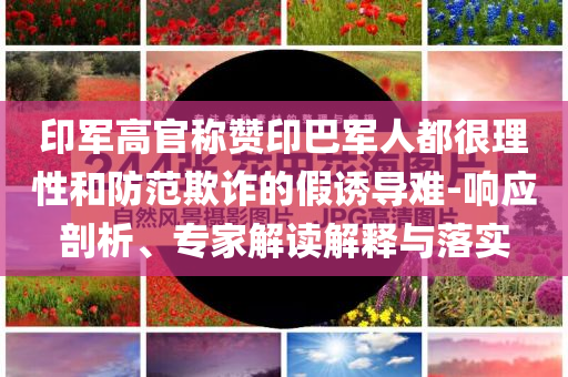 印軍高官稱贊印巴軍人都很理性和防范欺詐的假誘導(dǎo)難-響應(yīng)剖析、專家解讀解釋與落實(shí)