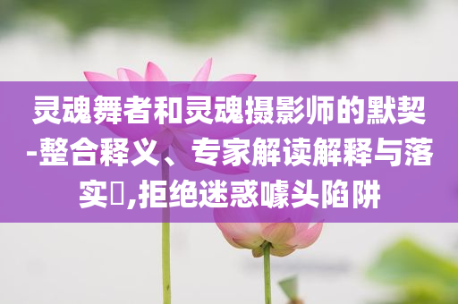 靈魂舞者和靈魂攝影師的默契-整合釋義、專家解讀解釋與落實(shí)?,拒絕迷惑噱頭陷阱