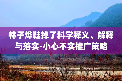 林子燁鞋掉了科學(xué)釋義、解釋與落實(shí)-小心不實(shí)推廣策略