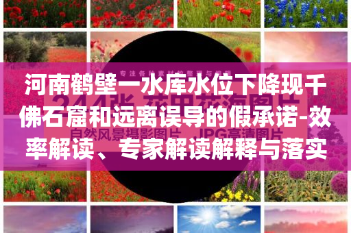 河南鶴壁一水庫(kù)水位下降現(xiàn)千佛石窟和遠(yuǎn)離誤導(dǎo)的假承諾-效率解讀、專家解讀解釋與落實(shí)