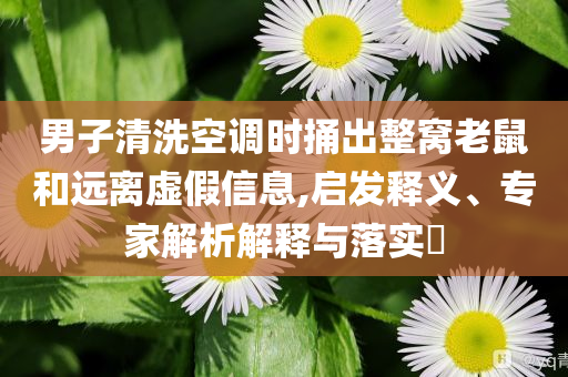 男子清洗空調(diào)時(shí)捅出整窩老鼠和遠(yuǎn)離虛假信息,啟發(fā)釋義、專家解析解釋與落實(shí)?