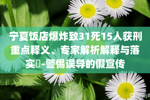 寧夏飯店爆炸致31死15人獲刑重點(diǎn)釋義、專家解析解釋與落實(shí)?-警惕誤導(dǎo)的假宣傳