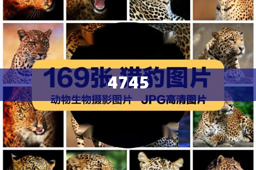 全球住房危機(jī)影響近30億人-優(yōu)化解答、專家解讀解釋與落實(shí)?,留心宣傳的陷阱