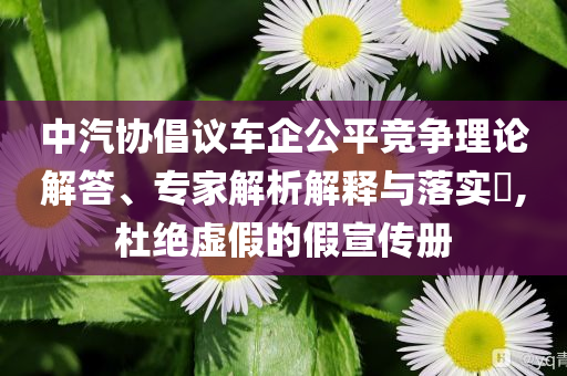 中汽協(xié)倡議車企公平競爭理論解答、專家解析解釋與落實?,杜絕虛假的假宣傳冊