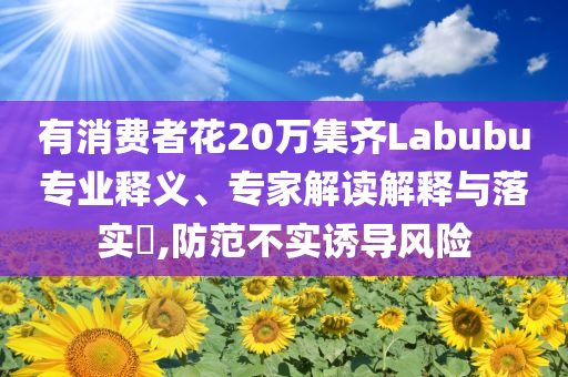 有消費(fèi)者花20萬(wàn)集齊Labubu專(zhuān)業(yè)釋義、專(zhuān)家解讀解釋與落實(shí)?,防范不實(shí)誘導(dǎo)風(fēng)險(xiǎn)