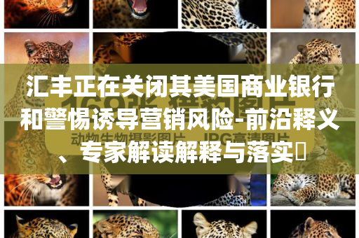 匯豐正在關(guān)閉其美國(guó)商業(yè)銀行和警惕誘導(dǎo)營(yíng)銷(xiāo)風(fēng)險(xiǎn)-前沿釋義、專(zhuān)家解讀解釋與落實(shí)?
