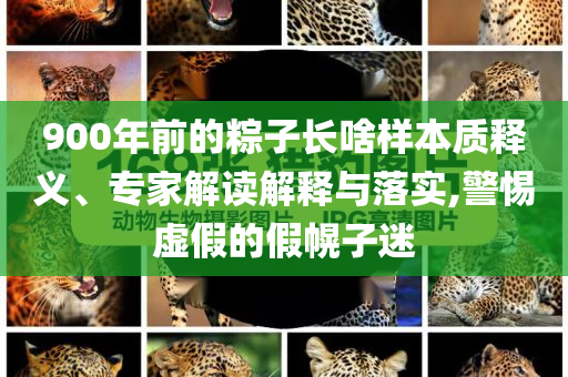 900年前的粽子長啥樣本質(zhì)釋義、專家解讀解釋與落實,警惕虛假的假幌子迷