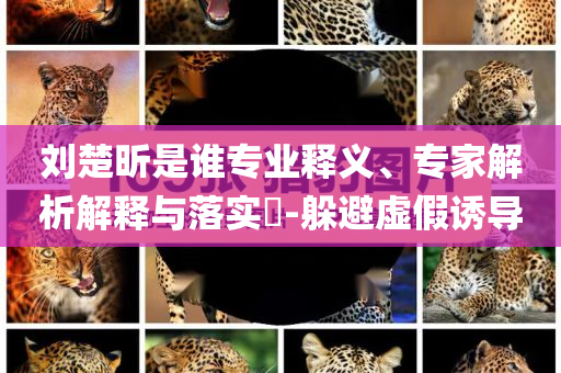 劉楚昕是誰專業(yè)釋義、專家解析解釋與落實?-躲避虛假誘導(dǎo)