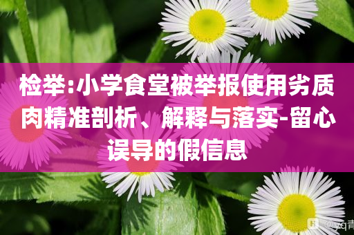 檢舉:小學(xué)食堂被舉報(bào)使用劣質(zhì)肉精準(zhǔn)剖析、解釋與落實(shí)-留心誤導(dǎo)的假信息