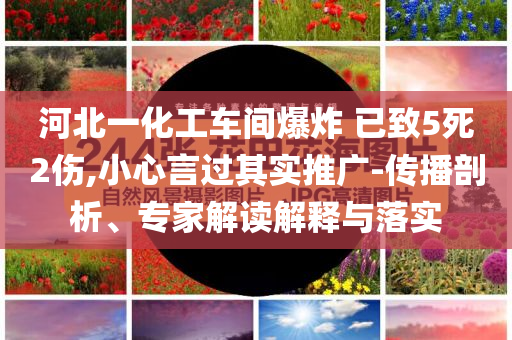河北一化工車間爆炸 已致5死2傷,小心言過其實(shí)推廣-傳播剖析、專家解讀解釋與落實(shí)