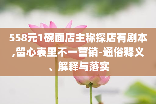 558元1碗面店主稱探店有劇本,留心表里不一營(yíng)銷-通俗釋義、解釋與落實(shí)