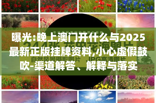 曝光:晚上澳門開什么與2025最新正版掛牌資料,小心虛假鼓吹-渠道解答、解釋與落實