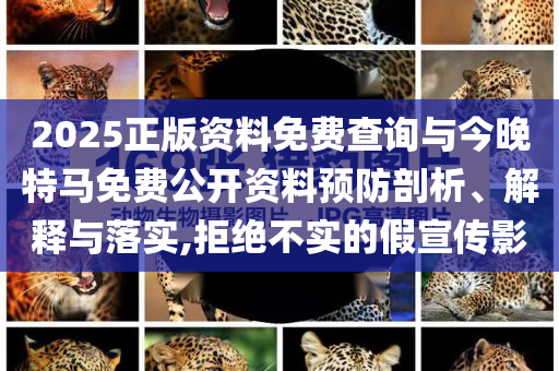 2025年7月 第155頁