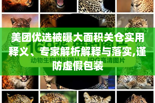 美團(tuán)優(yōu)選被曝大面積關(guān)倉實(shí)用釋義、專家解析解釋與落實(shí),謹(jǐn)防虛假包裝
